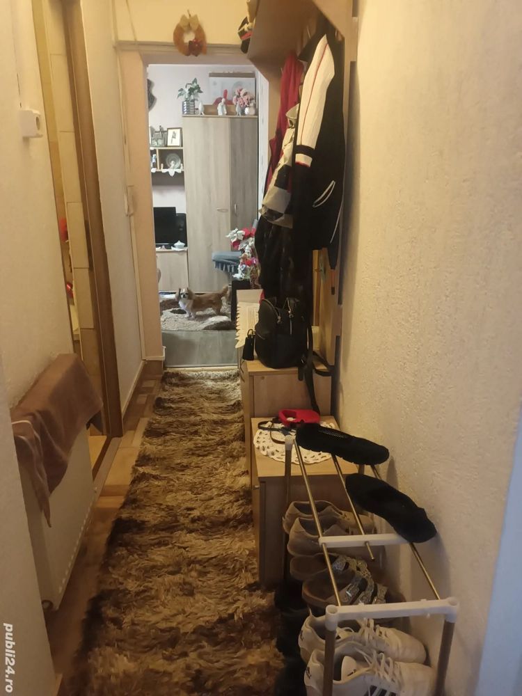 BRASADAS vinde ap 2 cam IRIS. - Poză 5