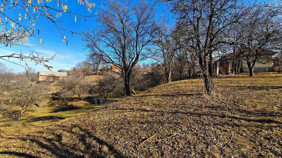 Bran-Sohodol, casă bătrânească cu utilități și teren 4039mp, comision zero. - Poză 8