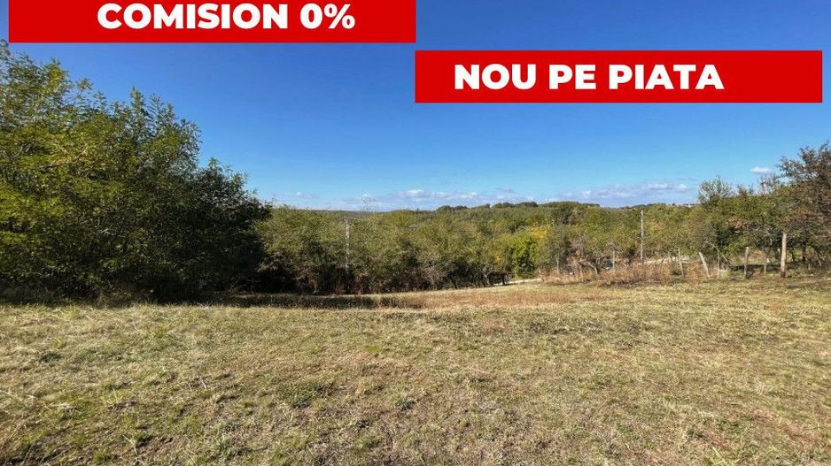Teren Babana 5000mp intravilan - Poză 2