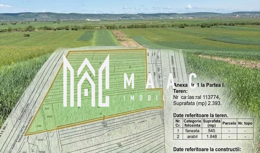 Teren extravilan 2393 mp | Gura Râului | acces, Carte Funciară - Poză 2