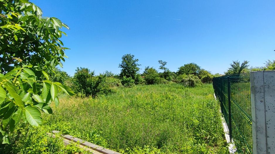 Lot pentru două case – Corbeanca Tamași - Poză 16
