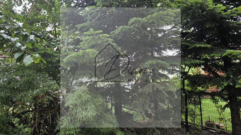 Vila 5 camere LUX Voluntari - Cartier Henri Coanda - Poză 2