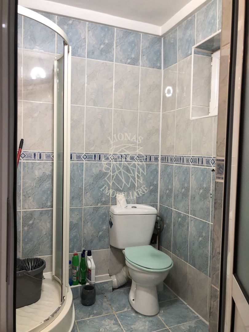 Casa Vila,  7 camere, 235 mp total, garaj, D+P+E, Sens Vechi - Poză 9