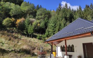 Vanzare Pensiune , Casa ,  Rezervatia Piatra Craiului / Satic, Arges - Poză 2