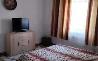 Casa Individuala | 12 Camere | 480MP | Teren380 MP | Central - Poză 16