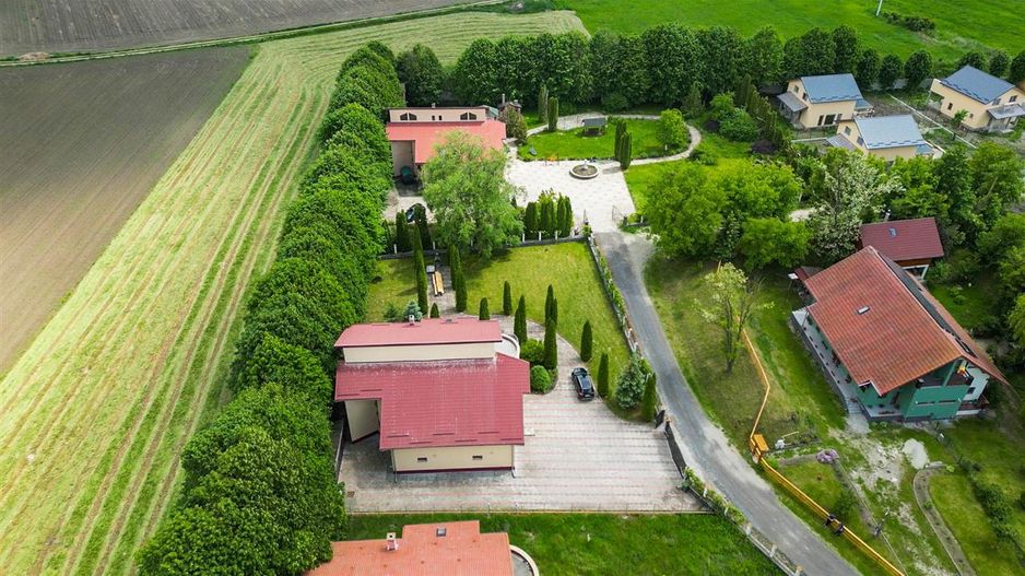 Vila cu 1.500 mp teren, gradina amenajata, linistita zonare,  Halchiu, Brasov - Poză 34