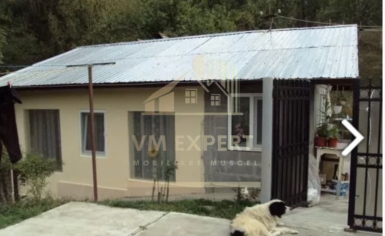 CASA 4 CAMERE, TEREN 8387 MP, POIENARII DE MUSCEL, ARGES - Poză 9