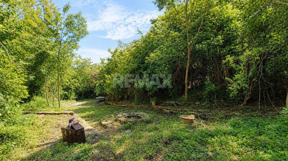 Nu este doar o vilă. Este refugiul tău verde cu 38 ari și pădurice proprie! - Poză 7