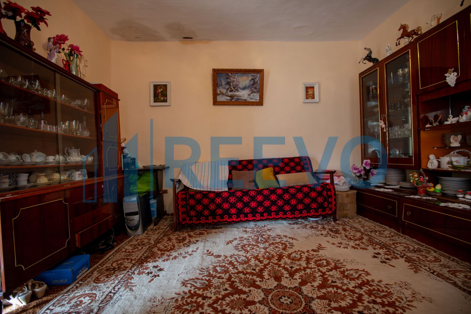 Casa si teren 3365mp Sascut - Poză 14