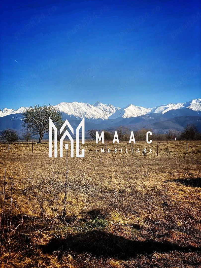 Teren Intravilan | 1000 MP | Valea Avrigului - Poză 5