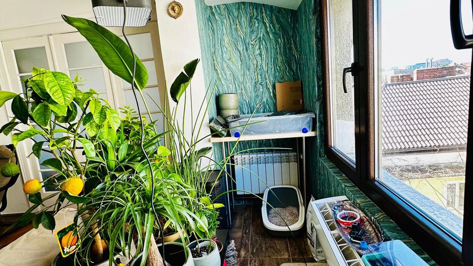 Apartament 3 camere + 1 birou,  Cotroceni, curte si gradina, metrou Eroilor - Poză 17