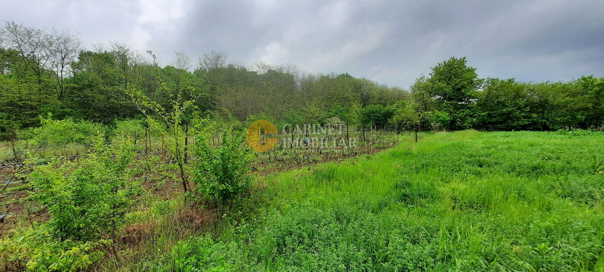 🏡 Casă cu livadă sat Prisăcani  - Teren 4500 mp - Poză 9