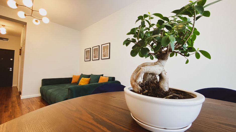 Apartament 4 camere - Unic & Spectaculos - 120 mp - Braytim - Poză 17