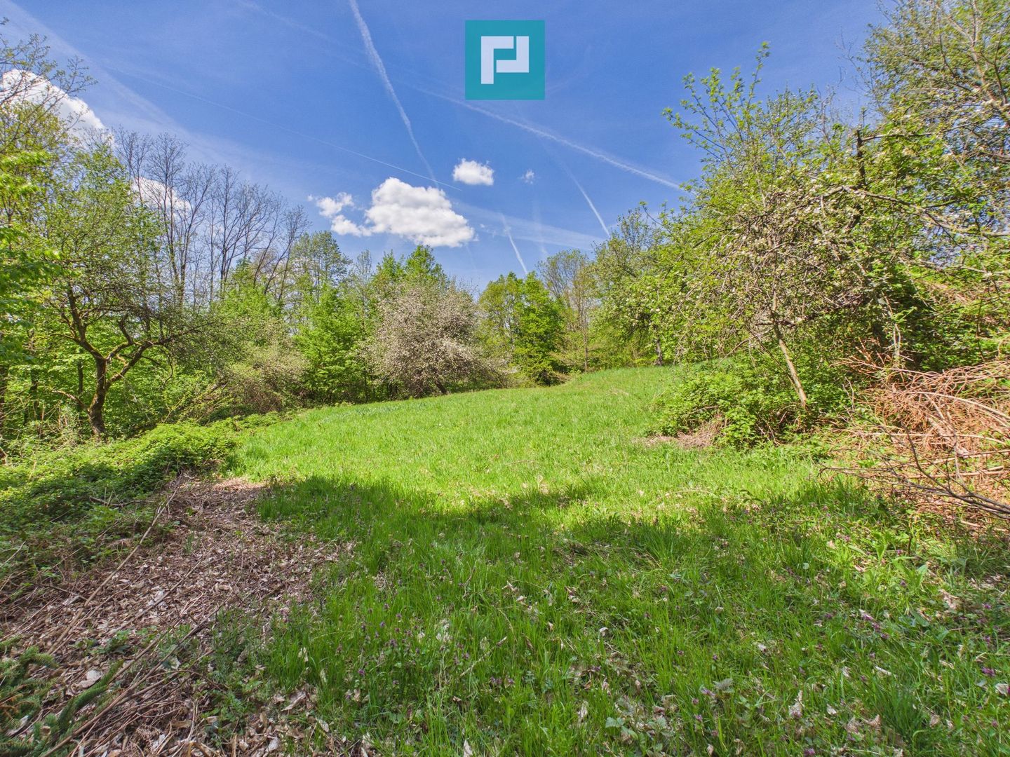 Proprietate rară cu 24.270 mp, în Măgulicea, Arad! - Poză 45