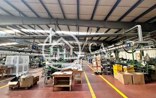 Hală de închiriat în zona industrială Santion, Bihor - Poză 4