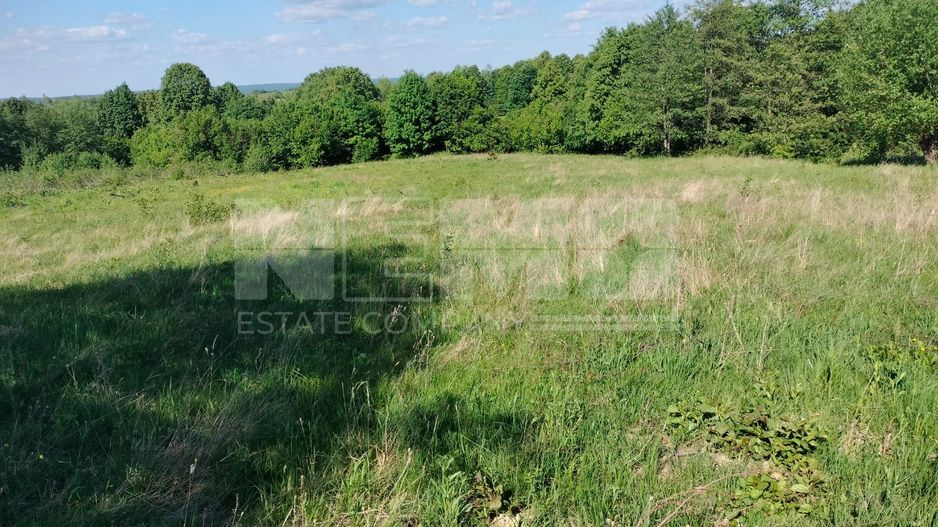 Teren extravilan | Vicovu de Jos | Preț 21.000 - Poză 4
