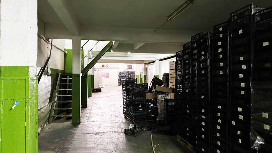 Hala industriala de inchiriat – 760 mp, Arad (Gradiste/Sere) - Poză 3