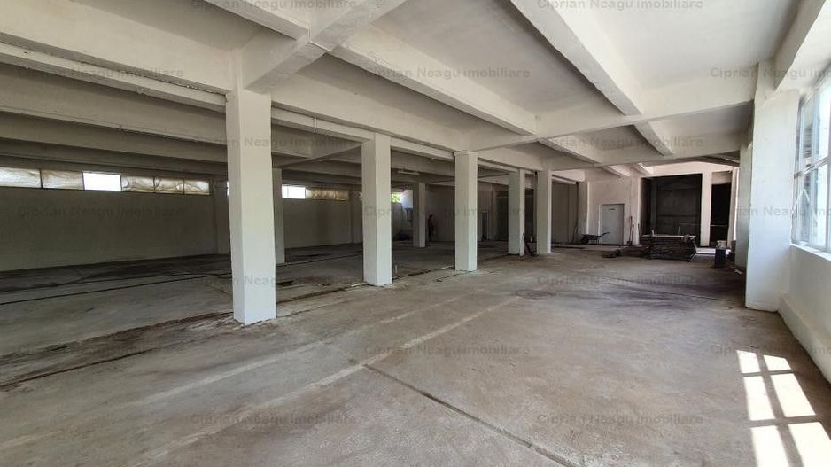 Hala Depozitare de Inchiriat Pitesti - Poză 6