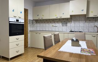 Inchiriere casa in Centru Podul de fier