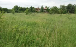 Teren Buftea cu iesire la lac - Poză 26