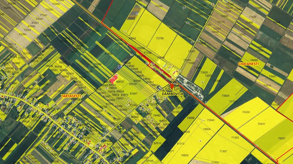 Teren extravilan agricol Tartasesti - Poză 2