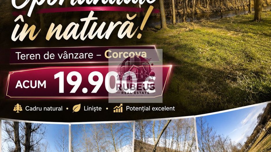 Oportunitate rară! 1 ha pădure Corcova – teren cu potențial real - Poză 1