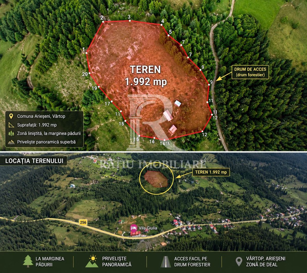 Teren 2000 m | Izlaz | Arieseni - Poză 2