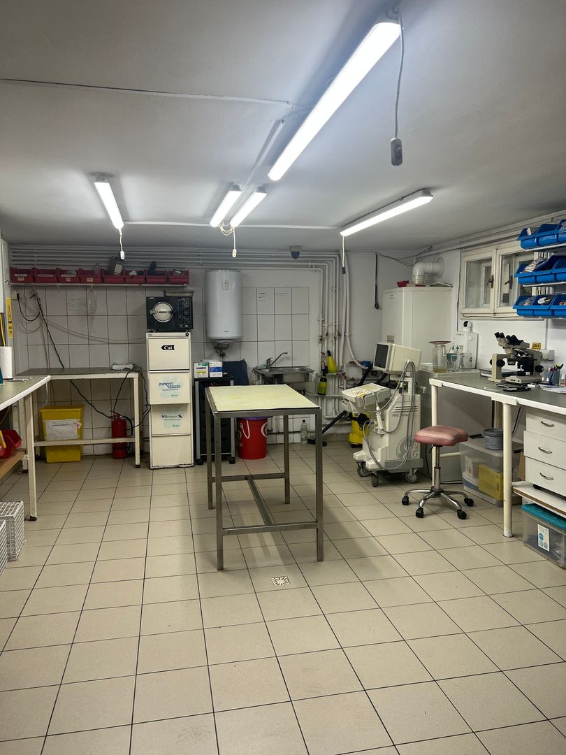 Imobil multifuncțional, 450 mp utili, teren 640 mp, Torontalului - Poză 4