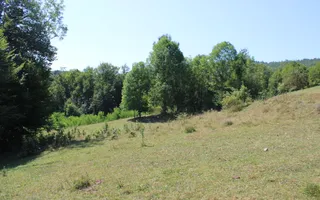 Terenuri Carpinis I parcelabil I Curent pe proprietati - Poză 32