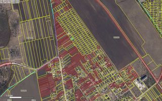 Vânzare teren agricol, satul Maximovca, Anenii Noi - Poză 3