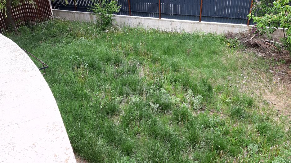 Apartament in vila cu Gradina zona Andrei Muresanu - Poză 14