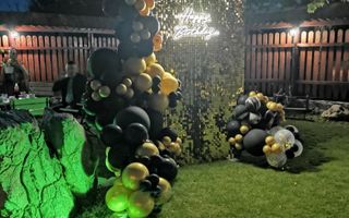 RESTAURANT DE VÂNZARE-COM. OBREJA\SAT IAZ\CARAȘ SEVERIN - Poză 15