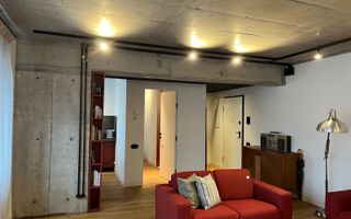 Apartament 2 camere / Brick Lofts / Vedere Lac - Poză 2