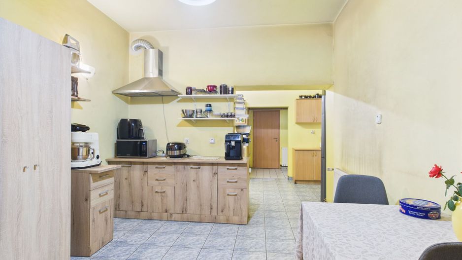 Casă individuală cu teren,  Andrei Șaguna -Traian - Poză 13