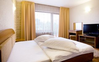 Resort 4 Stele de Vânzare | Fundata Brașov | 45.000mp | 43 Unități | - Poză 6