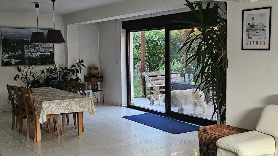 Vila 8 camere Dascalu - Poză 7