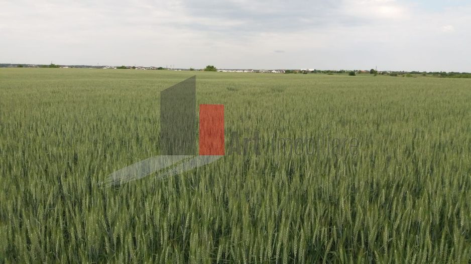 Teren Buftea cu iesire la lac - Poză 8