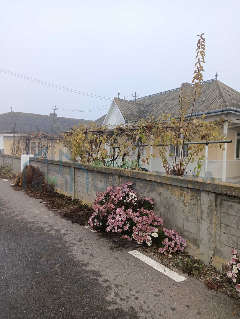 Casa + teren de vanzare - Halaucesti, jud. Iasi - Poză 2