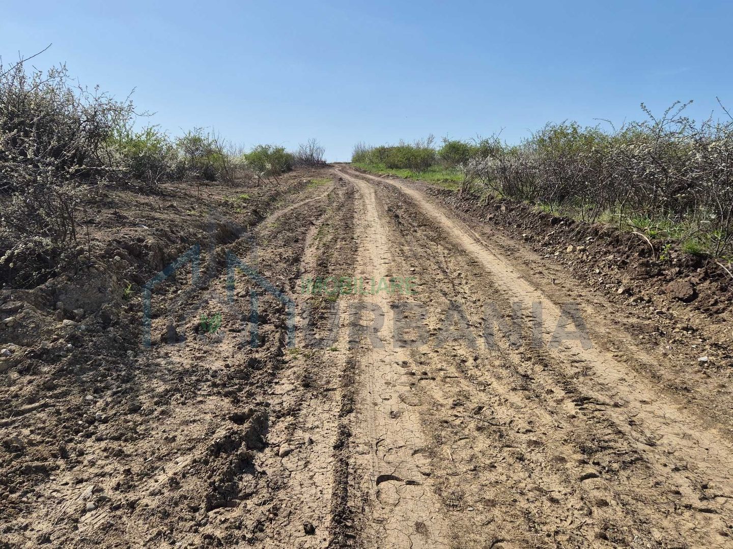 Teren intravilan de vânzare în comuna Tomesti - Poză 5