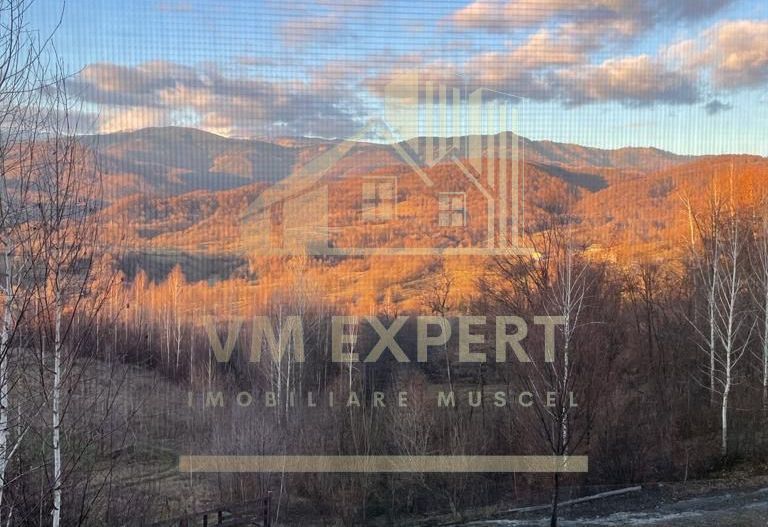 CASA 3 CAMERE, TEREN 3100 MP, ALBESTI DE MUSCEL, ARGES - Schiță 19