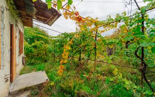 Lot pomicol de 6 ari în Ialoveni, cu construcție auxiliară. - Poză 14