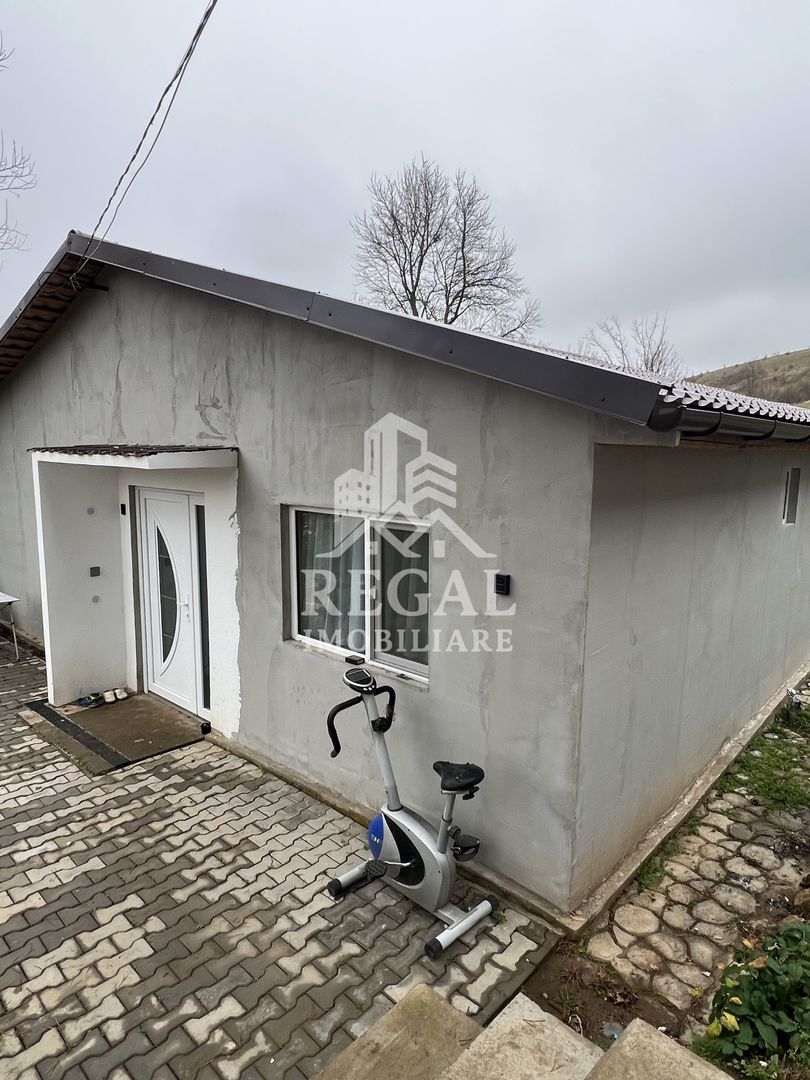 Două case individuale de vânzare în Teliuc –ideale pentru două familii - Poză 18