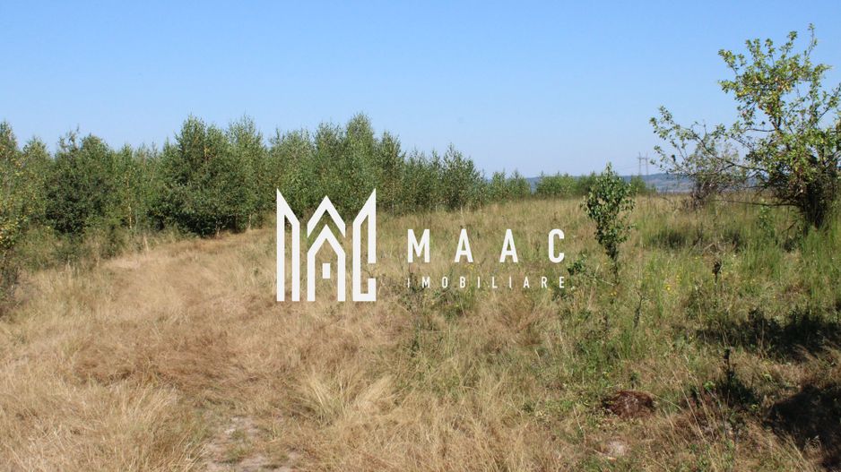 TEREN 4500 MP I FANEATA I PARC FOTOVOLTAIC I ARPASUL DE SUS - Poză 5