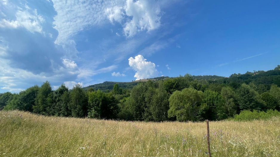 Teren intravilan I Loc deosebit, inconjurat de padure I Vladeasa - Poză 3