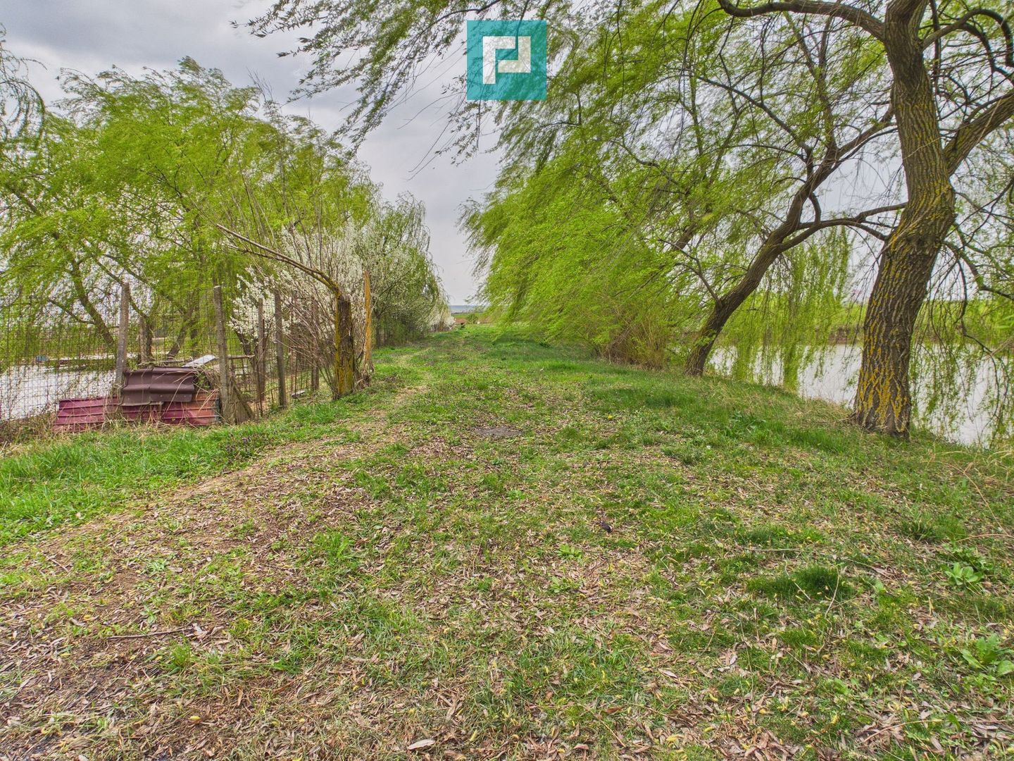 Teren 1 ha cu baltă populată – Alioș (Mașloc) - Poză 11