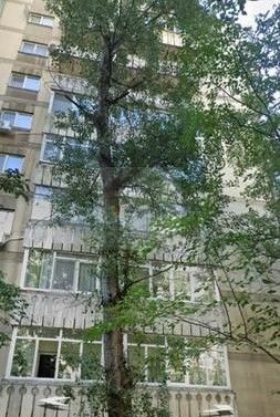 2 Camere - 57MP | Etaj Intermediar | 1981 | M Lujerului la 5 minute - Poză 3