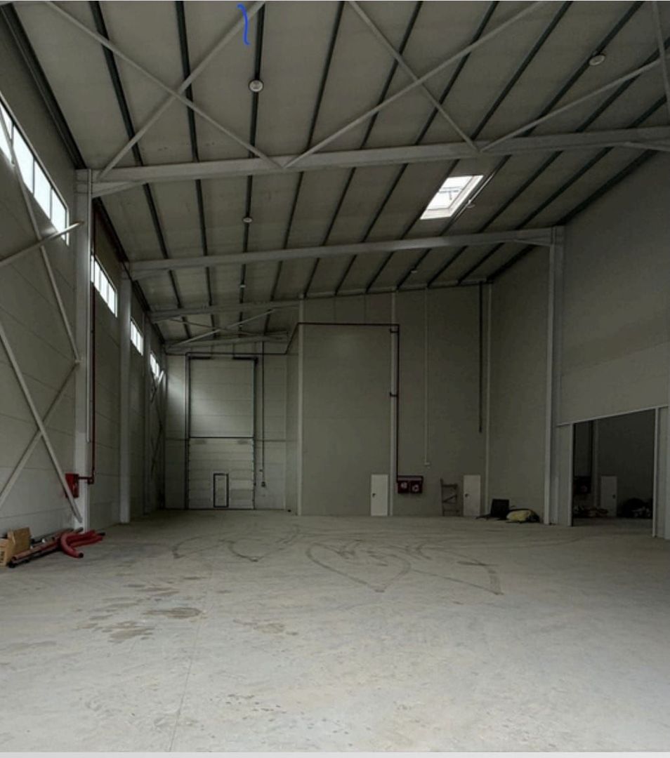 De inchiriat hala industriala in Mogosoaia / Buiacului - Poză 7