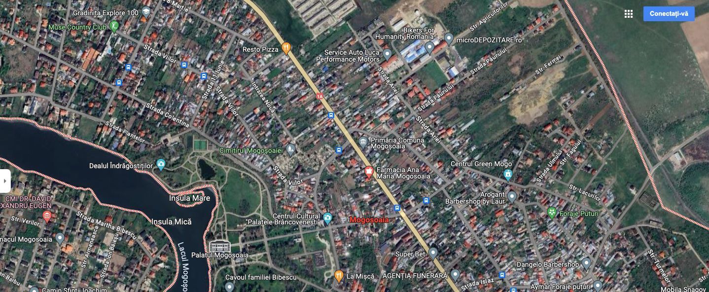 Teren de 4 Hectare în Mogoșoaia – Investiție Strategică cu Potențial Ridicat - Poză 1