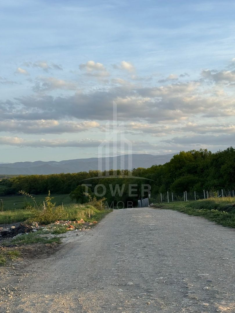 Teren Intravilan - Șură Mică - Poză 11