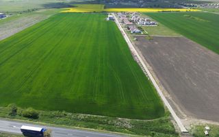 COM 0% Teren industrial pentru hale, servicii | DN69 Sanandrei - Poză 4